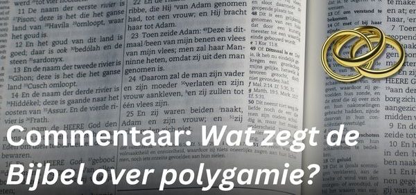 Lees meer over het artikel ‘Open monogamie’, mag dat volgens de Bijbel?