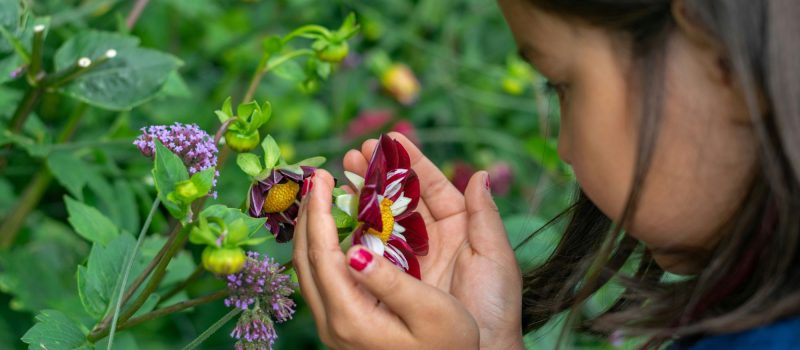 Meisje bekijkt bloem_paula-corberan-unsplash